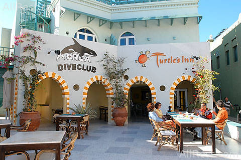 Turtles Inn Dive Club & Hotel 15